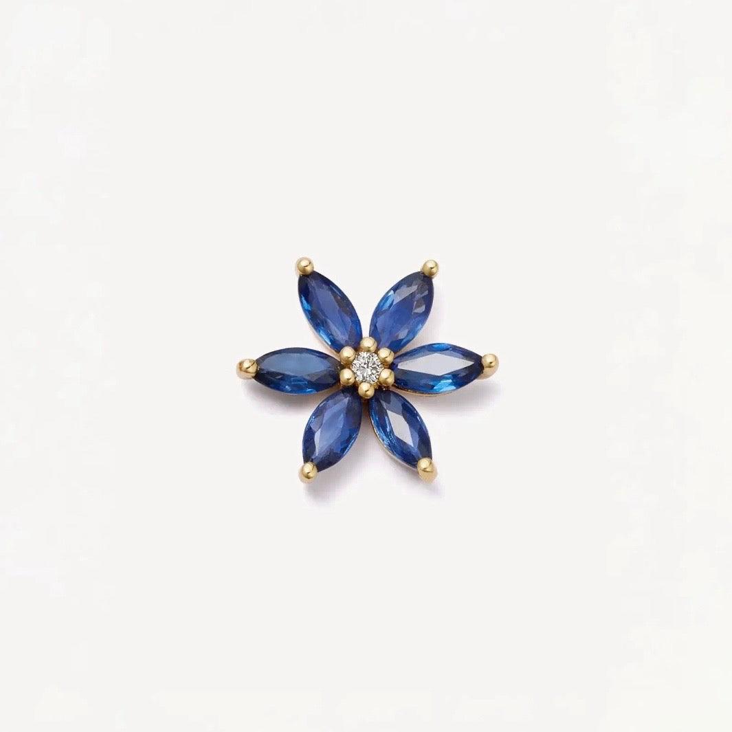 Blue Iris