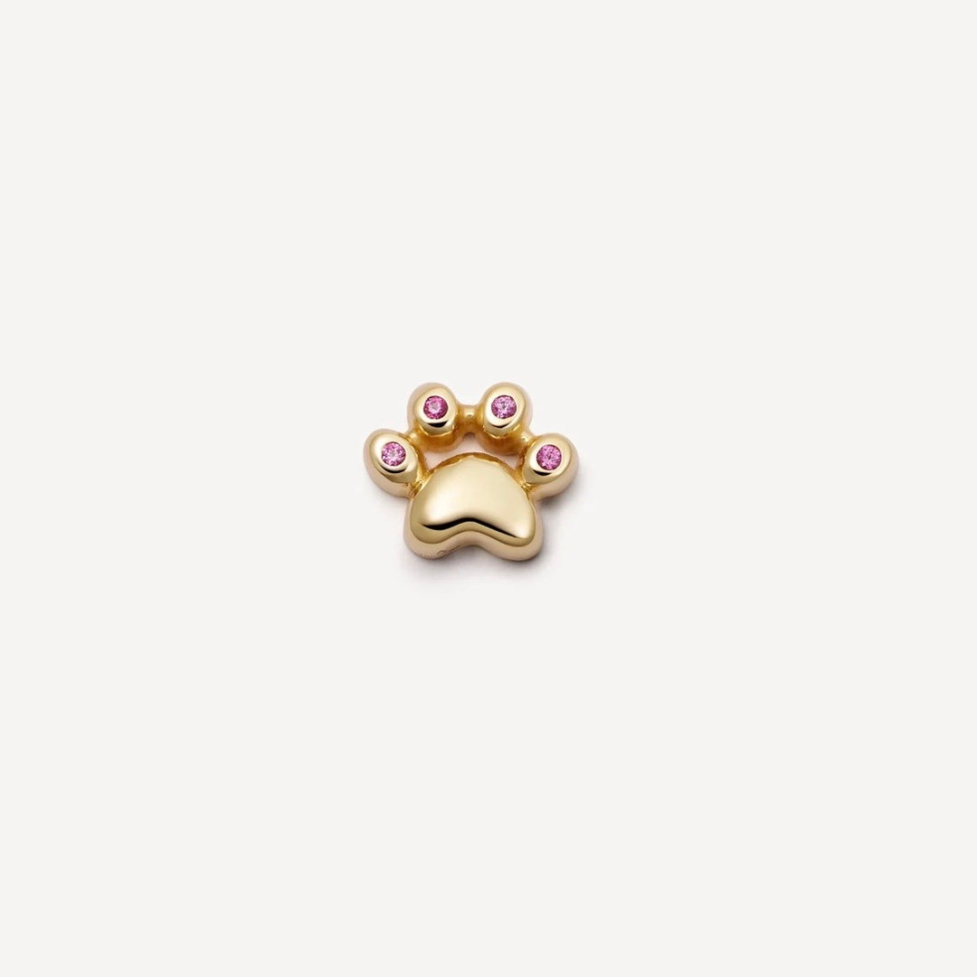 Pink dog paw