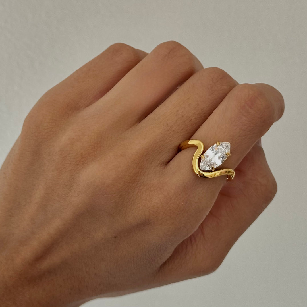 Steven Ring