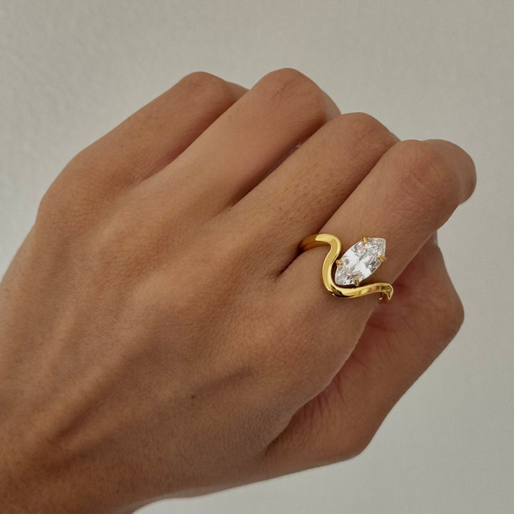 Steven Ring