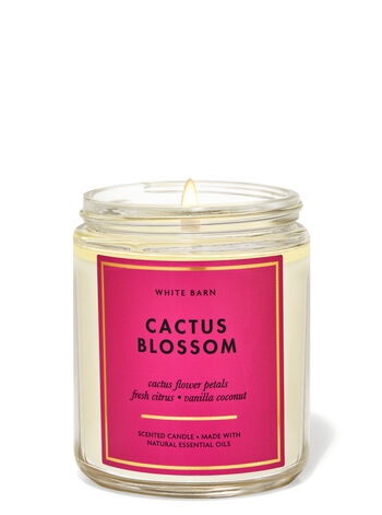 White Barn CACTUS BLOSSOM